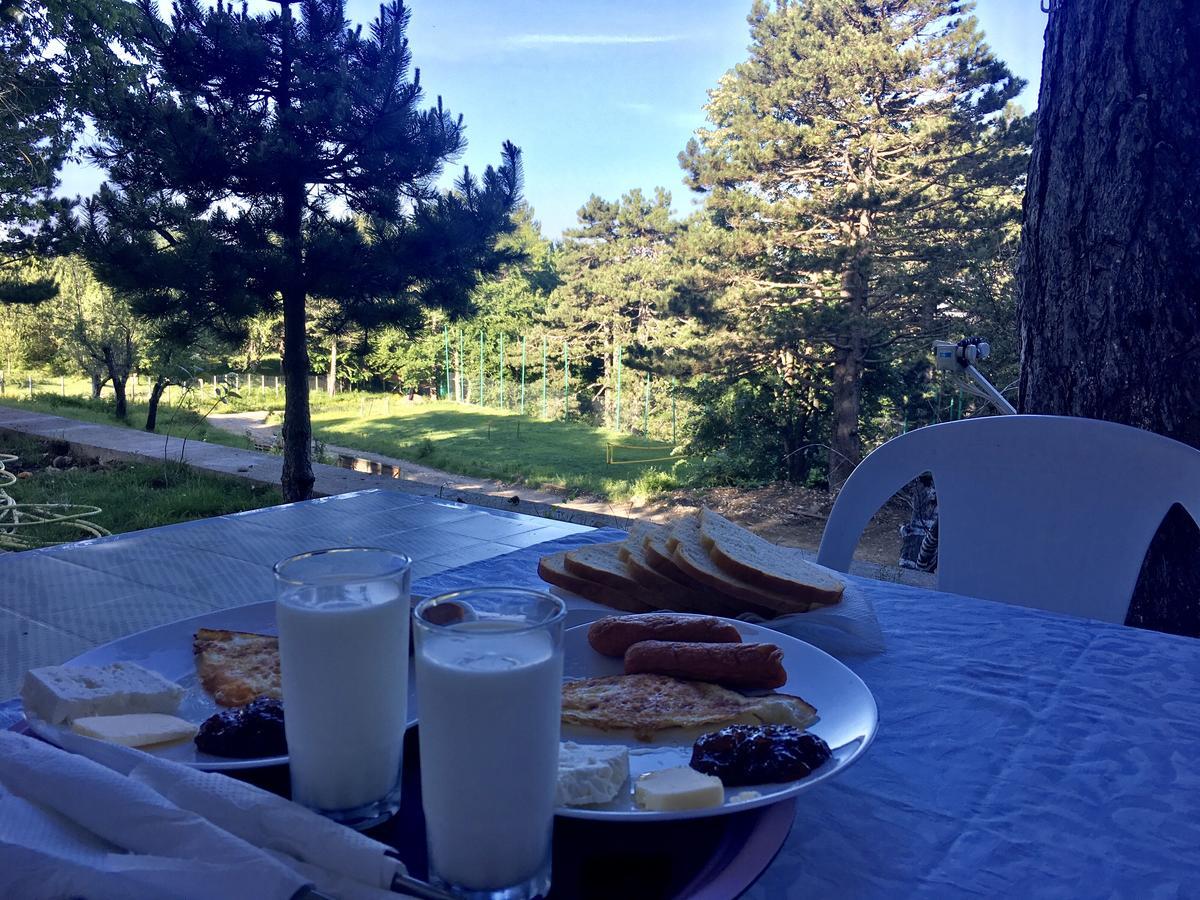 Shkreli Resort Qafeshtame Cudhi-Kamt Dış mekan fotoğraf