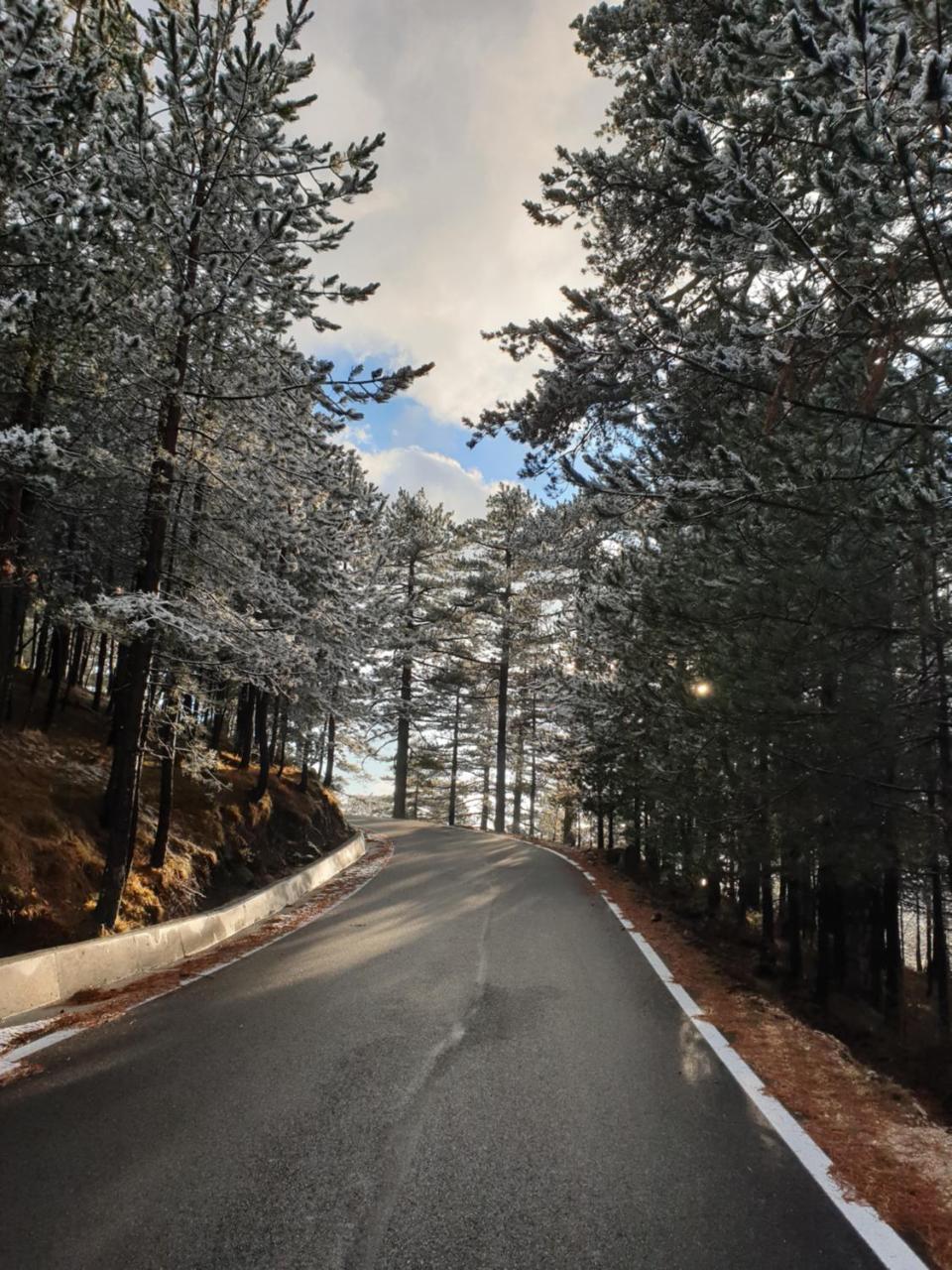 Shkreli Resort Qafeshtame Cudhi-Kamt Dış mekan fotoğraf